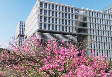 叮咚！3.8妇女节，您有份来自市新华医院的“健康福利”请查收！