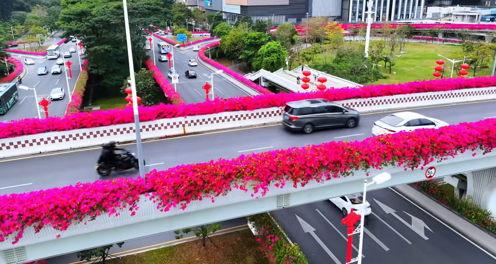 微信图片_20250305080102